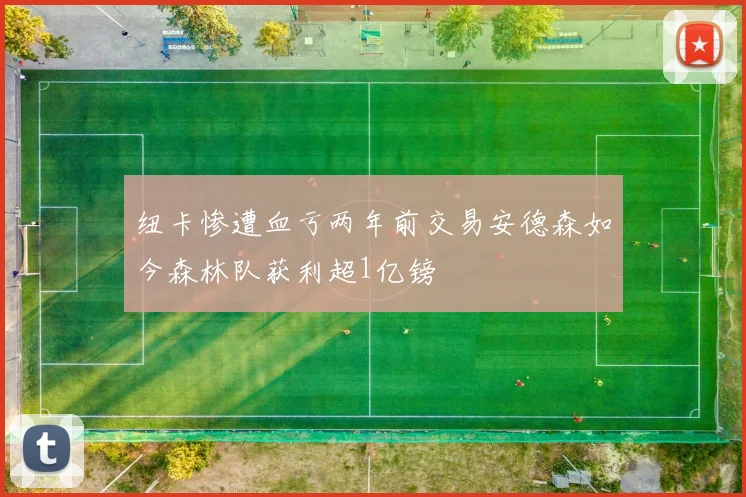 纽卡惨遭血亏两年前交易安德森如今森林队获利超1亿镑